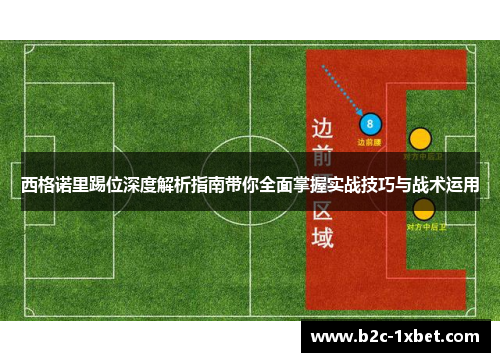 西格诺里踢位深度解析指南带你全面掌握实战技巧与战术运用