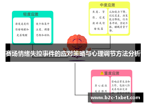 赛场情绪失控事件的应对策略与心理调节方法分析