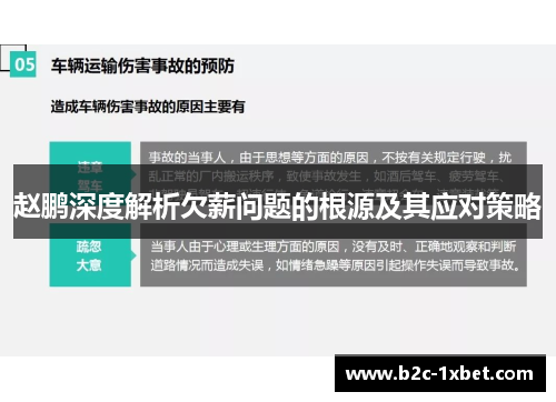 赵鹏深度解析欠薪问题的根源及其应对策略